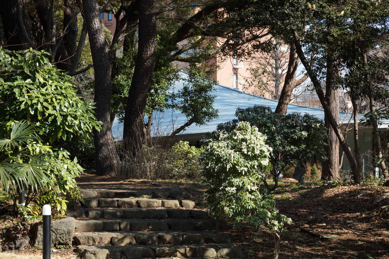 东京都庭园美术馆餐厅-36