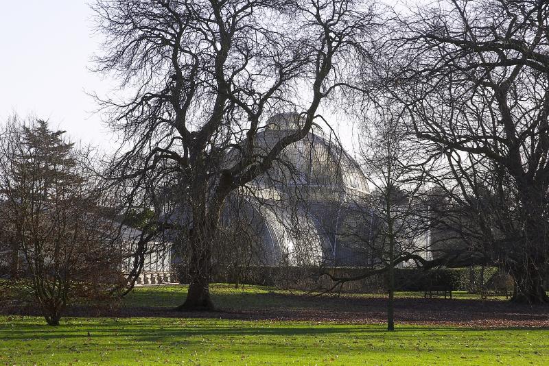 伦敦基尤皇家植物园(Royal Botanic Gardens, Kew )-108