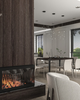 House in modern classic