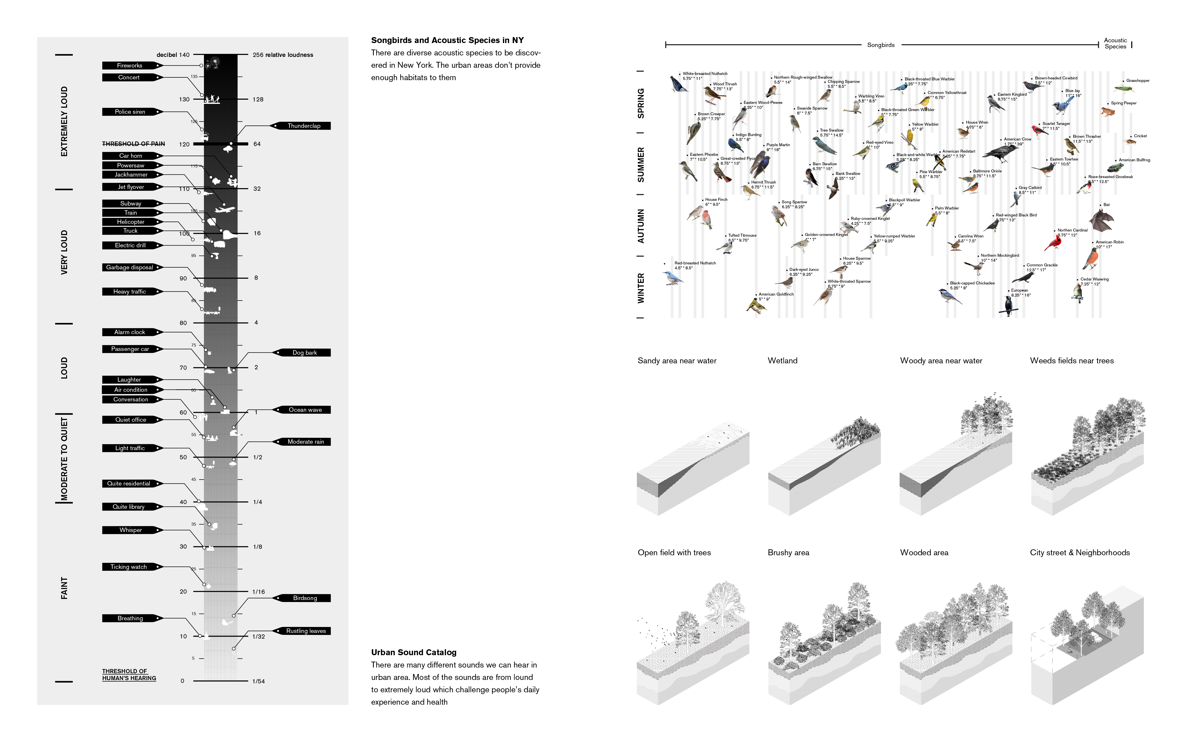 42nd Soundscaping - Sound as Media to Reshape Urban Ecology | Chao Li-10