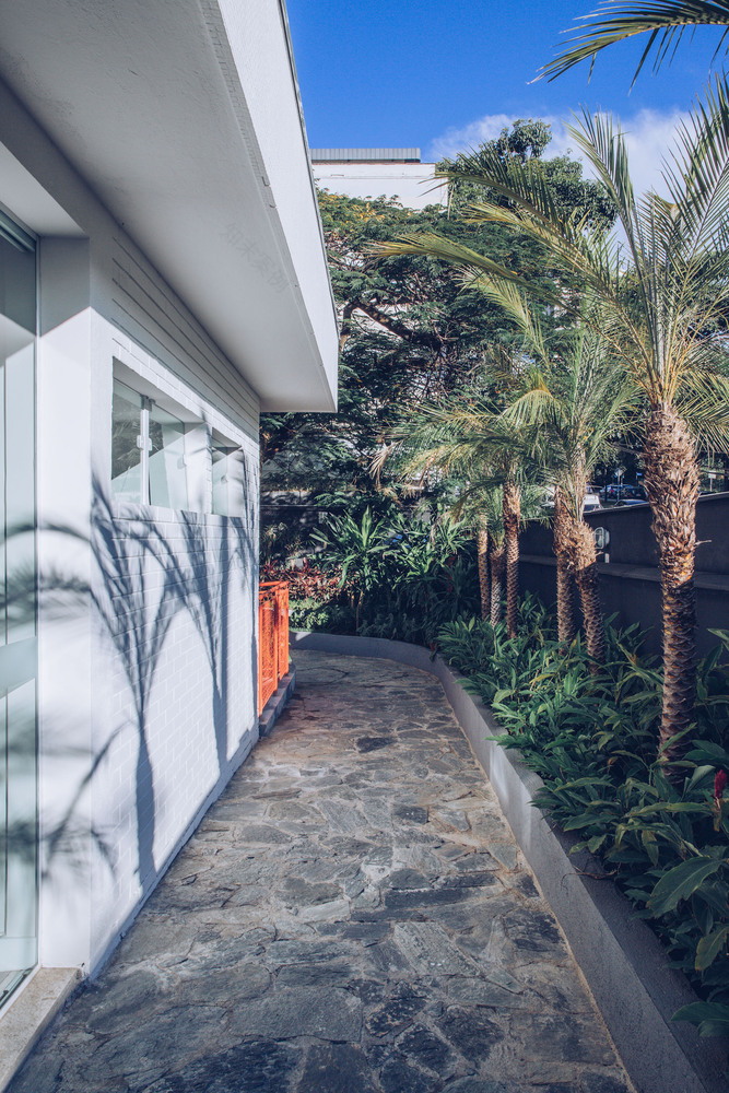 巴西蒙特梭利幼儿园 · 自由发展的空间-38