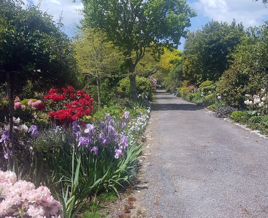 Cairnhill私人花园-2