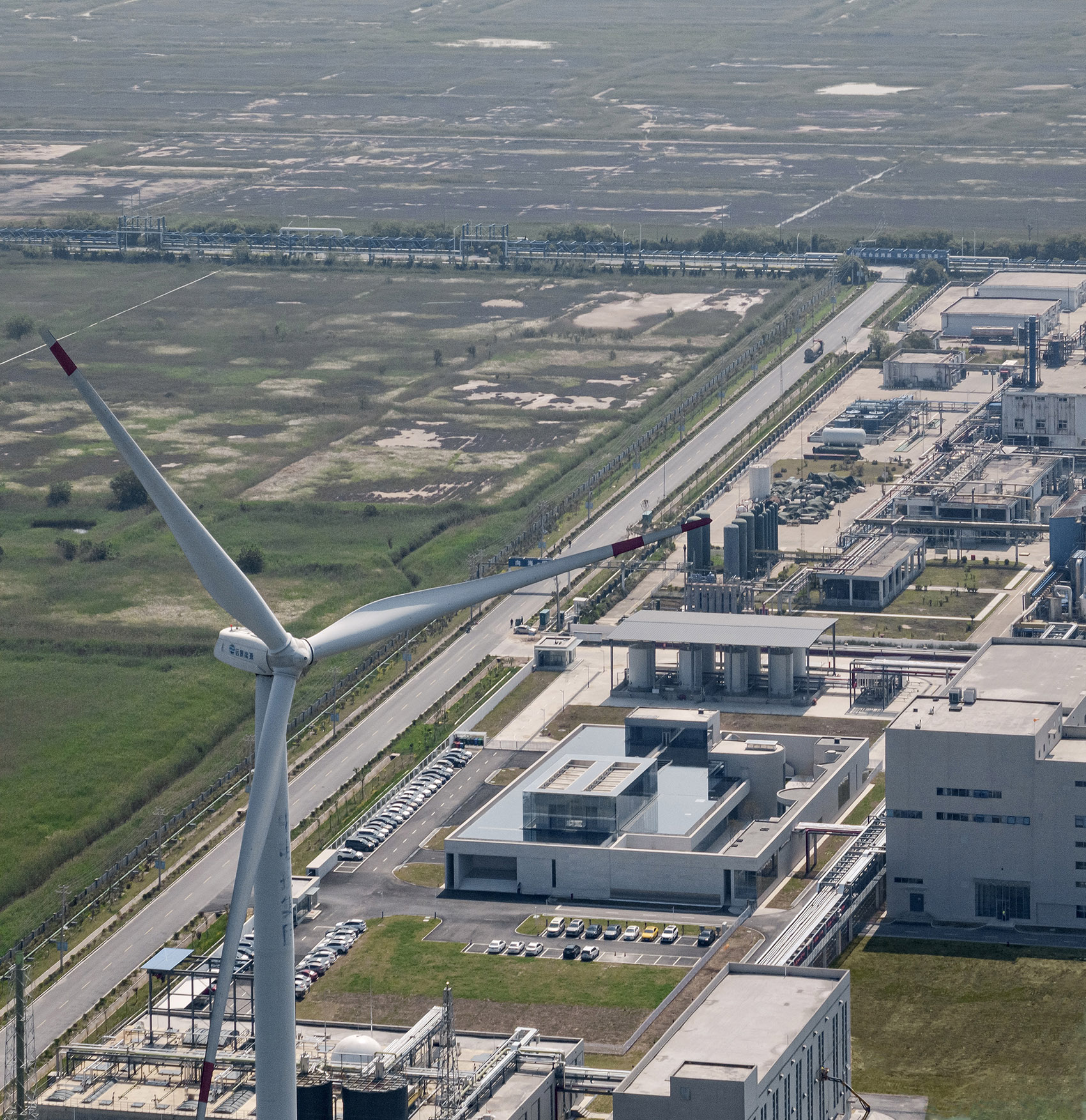 蓝晶微生物Bluepha BioFAB丨萨尔瓦多滨海丨XING DESIGN行之建筑设计事务所-6