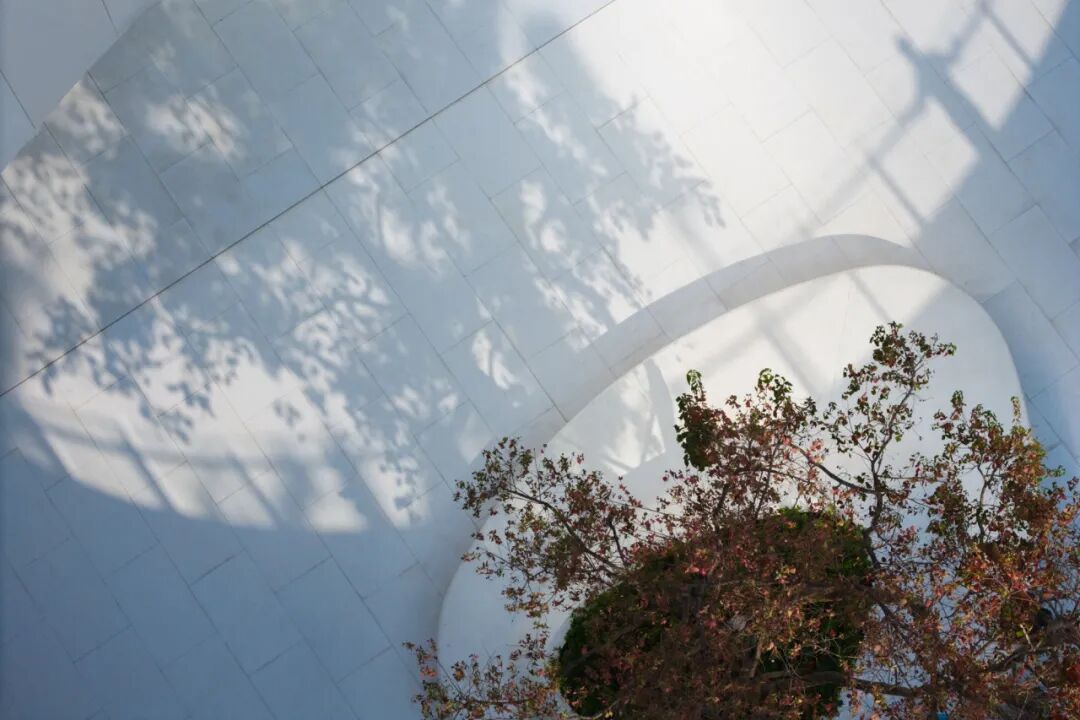 ASLA获奖作品 连接过去和未来的城市绿洲——嘉兴火车站景丨中国嘉兴丨致舍景观-62