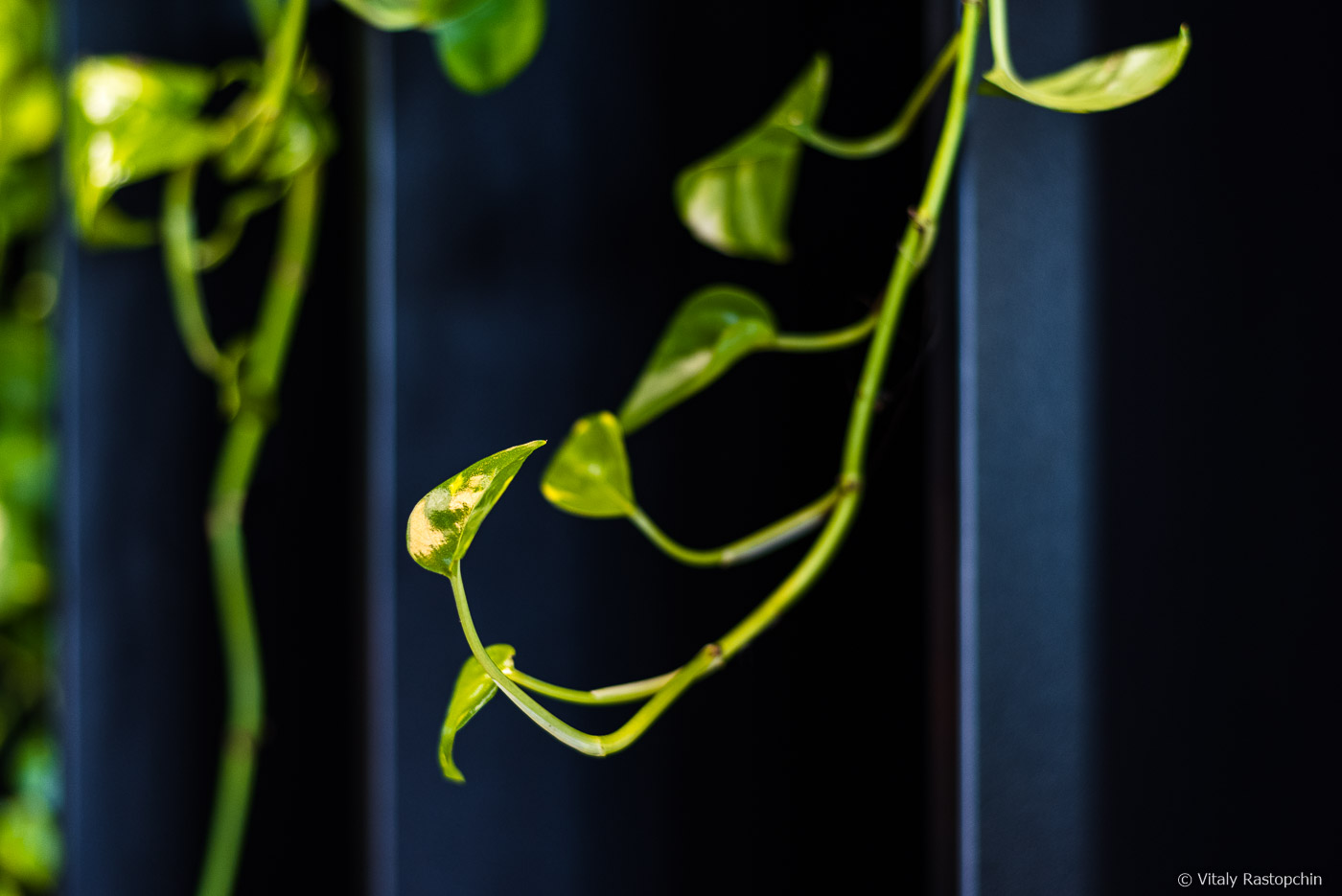 杰卡特办公室丨俄罗斯莫斯科丨Vitally Rastopchin-7