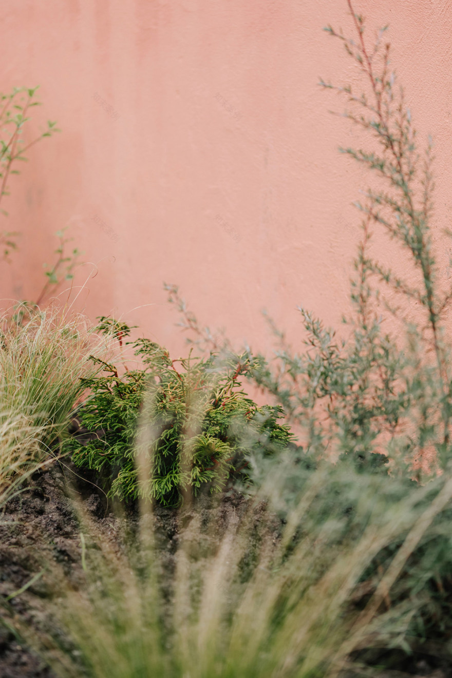 伦敦夫妇的乡村生活 | 寓所设计展示-12