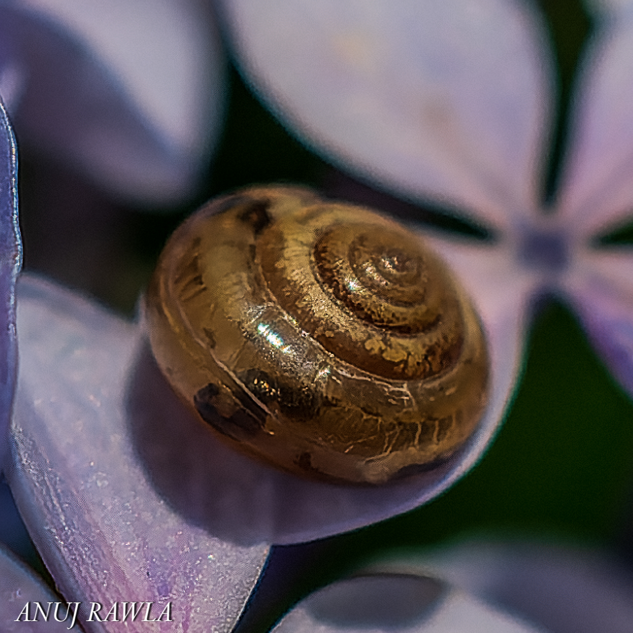 Wildflower Hall - August 2021-95