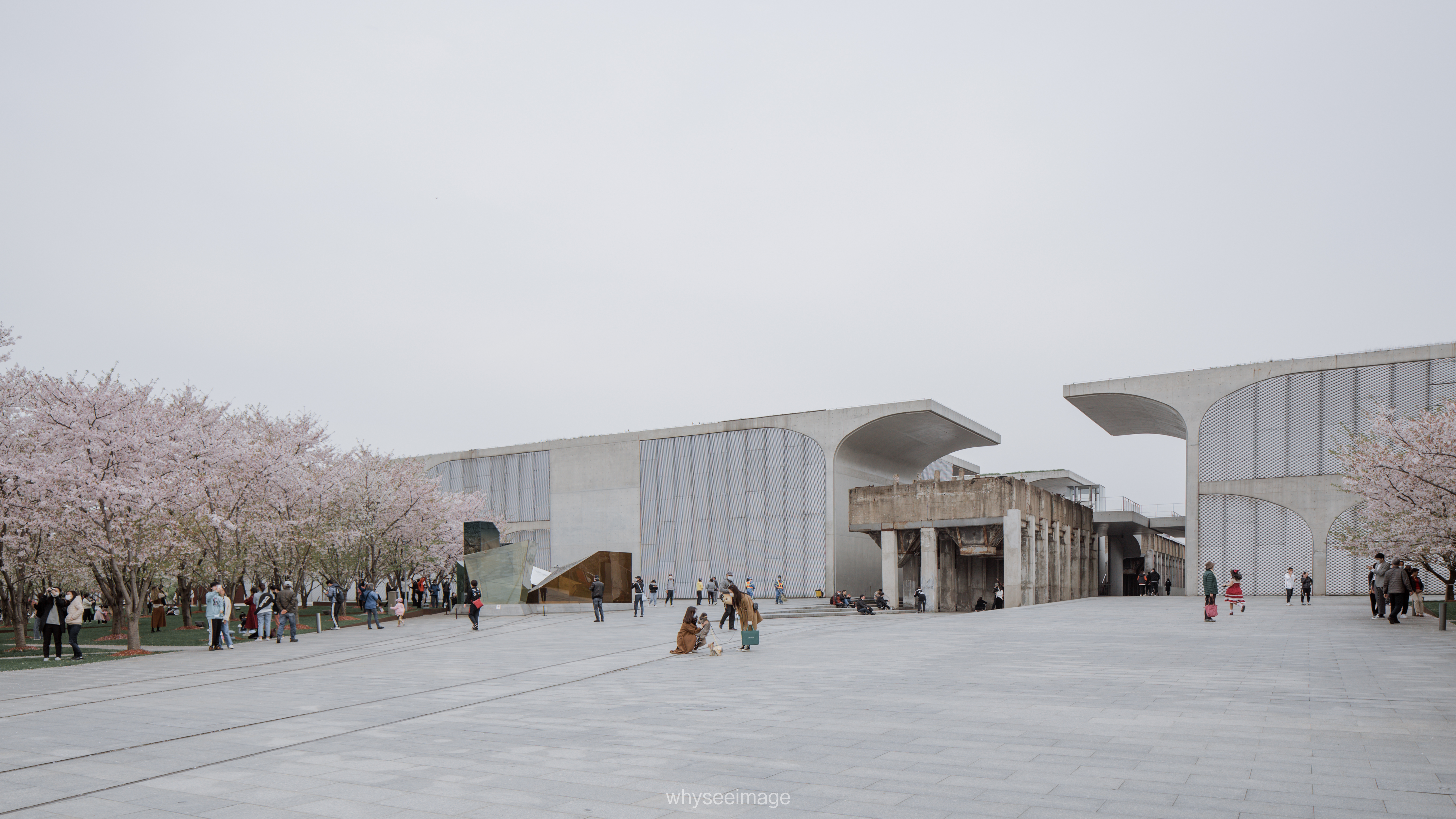 樱花+龙美术馆丨中国上海丨大舍建筑设计工作室-13