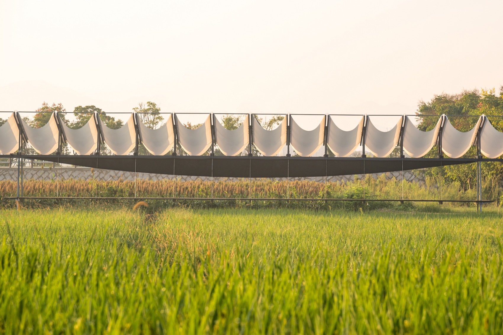 大地长桌丨中国衢州丨梓集fabersociety-98