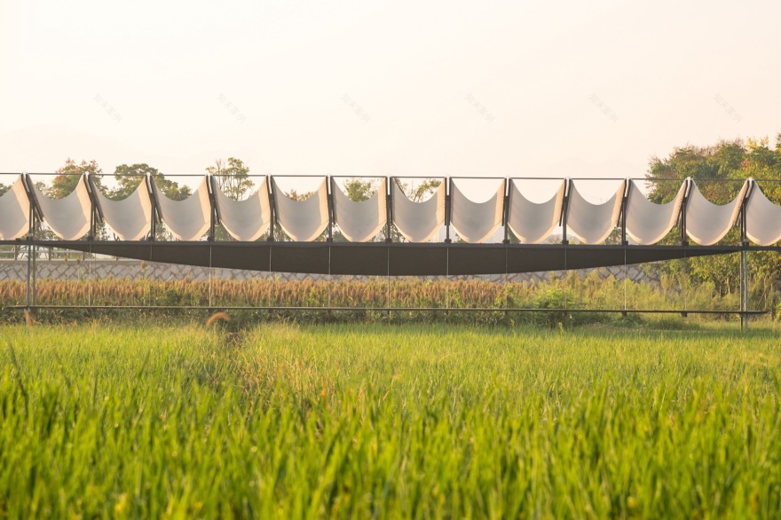 大地长桌丨中国衢州丨梓集fabersociety-98