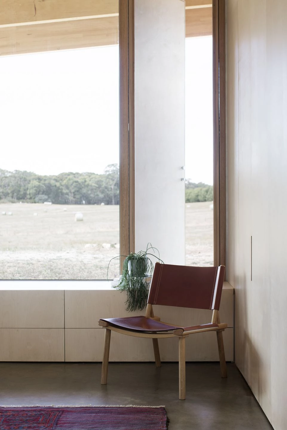 树变之居 | 澳大利亚乡村 Springhill House-61