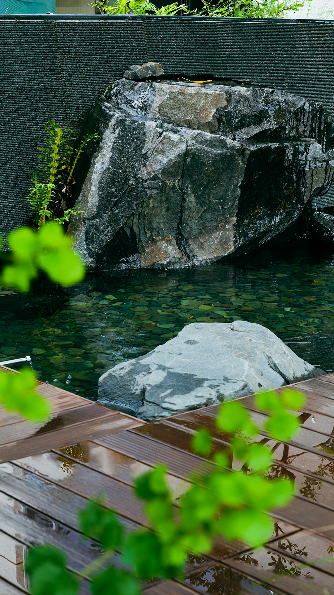 鹭鼎会·私房菜丨中国厦门丨巨子设计-23