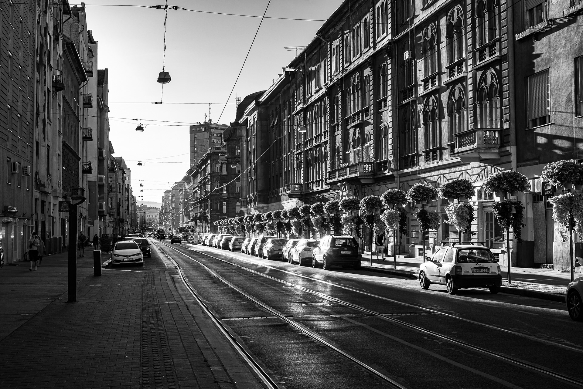 布达佩斯城市之光丨匈牙利布达佩斯-6