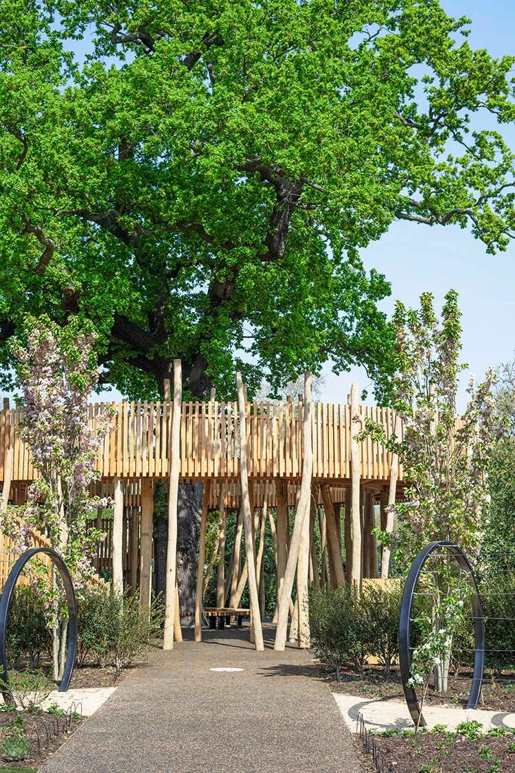 英国皇家植物园儿童花园丨Suzie Jewell-19