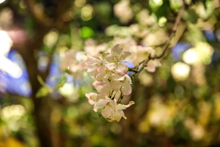 哈萨克斯坦 2015 世博会展馆 | 呈现传统与现代的和谐共生-25