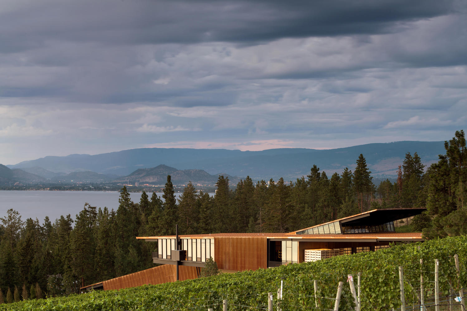 马丁巷酒庄·冯·曼德尔家族的重力酿酒传奇-35