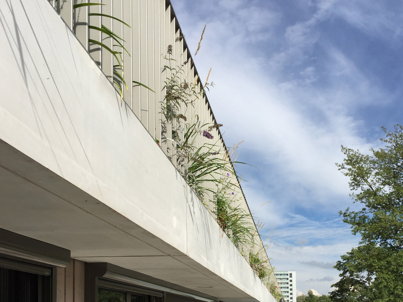 阿姆斯特丹绿色阶梯住宅 | Klencke NL Architects-97