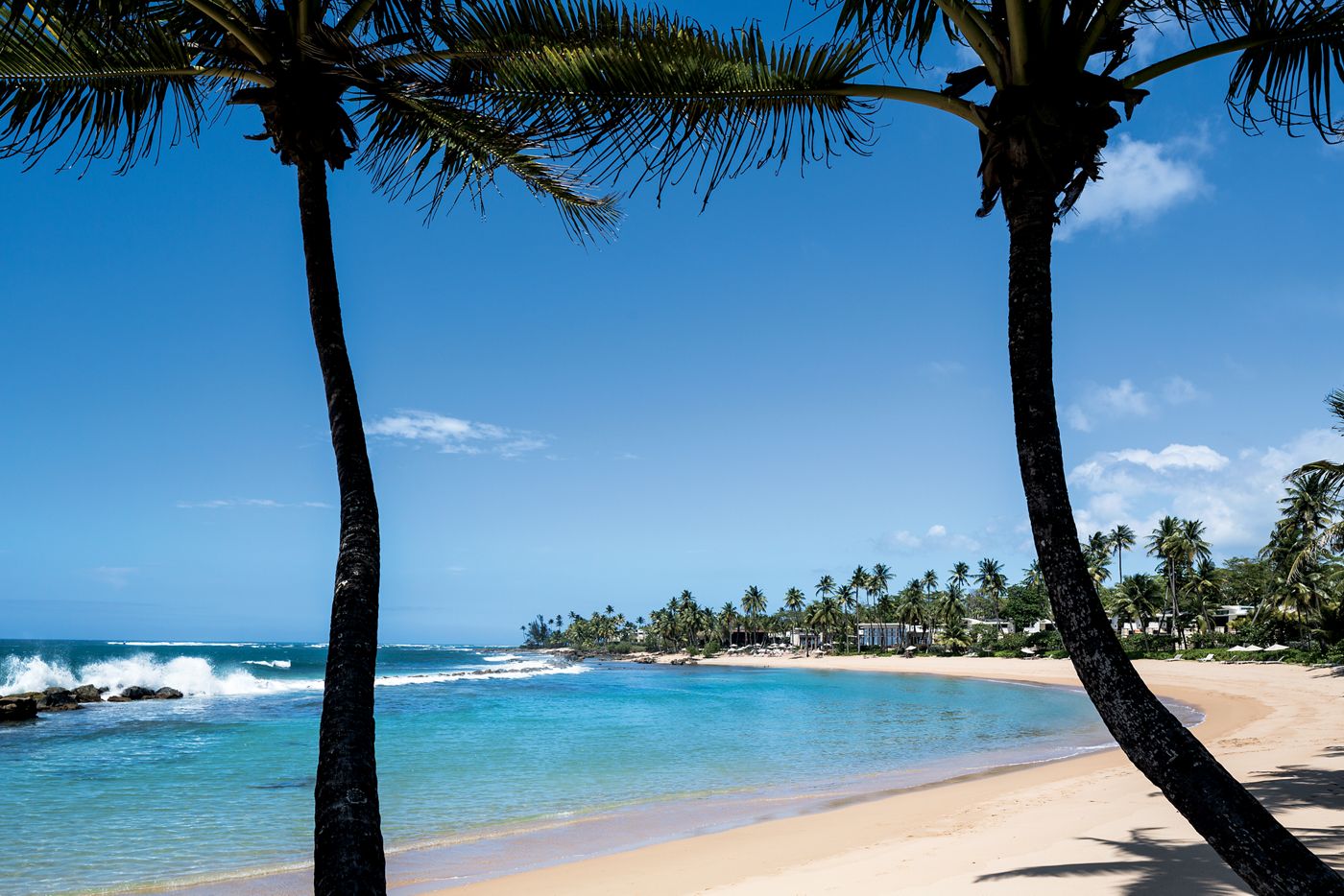 波多黎各多拉多海滩丽思卡尔顿精品度假酒店,Bensley 设计-14