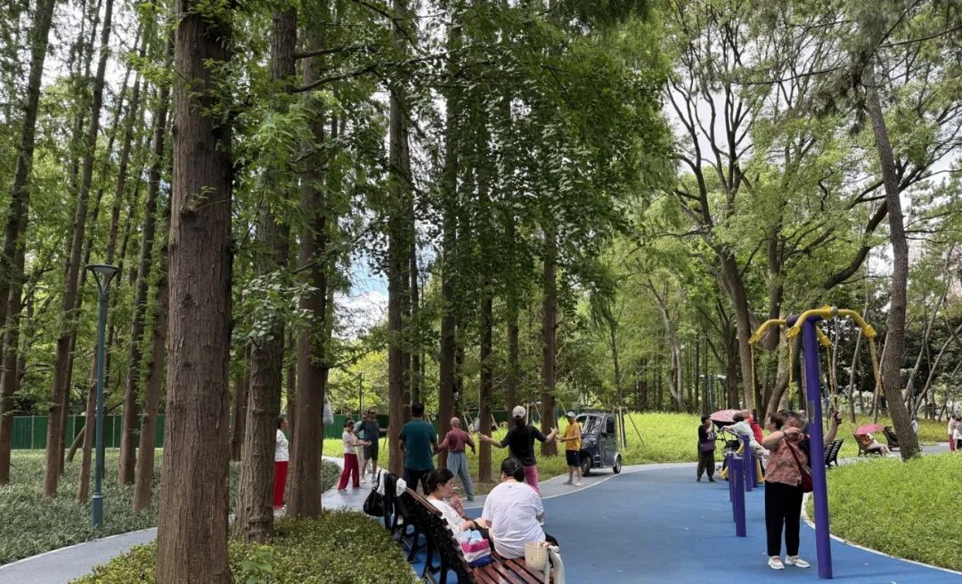 中国园林·理事专栏|“拓”之力量：杨浦公园改造纪实(三)-197