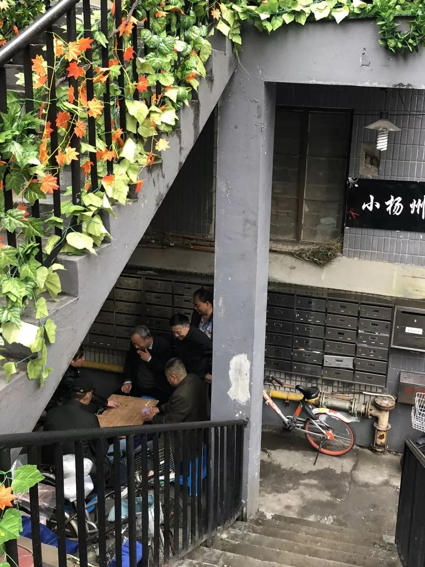 上海蒙西菜场微更新 | 精致烟火气的温暖乡野-59