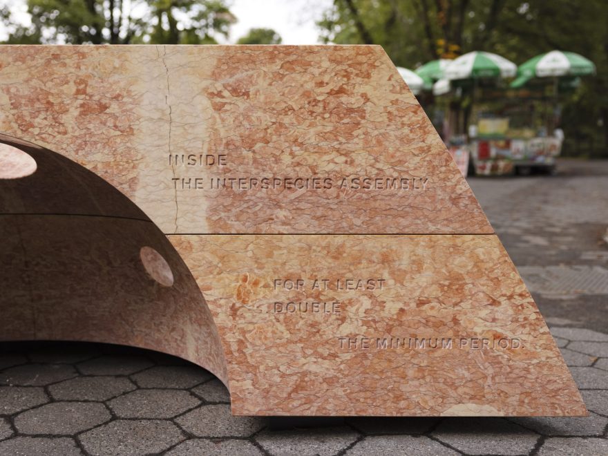 跨物种集会丨美国纽约丨SUPERFLEX-13