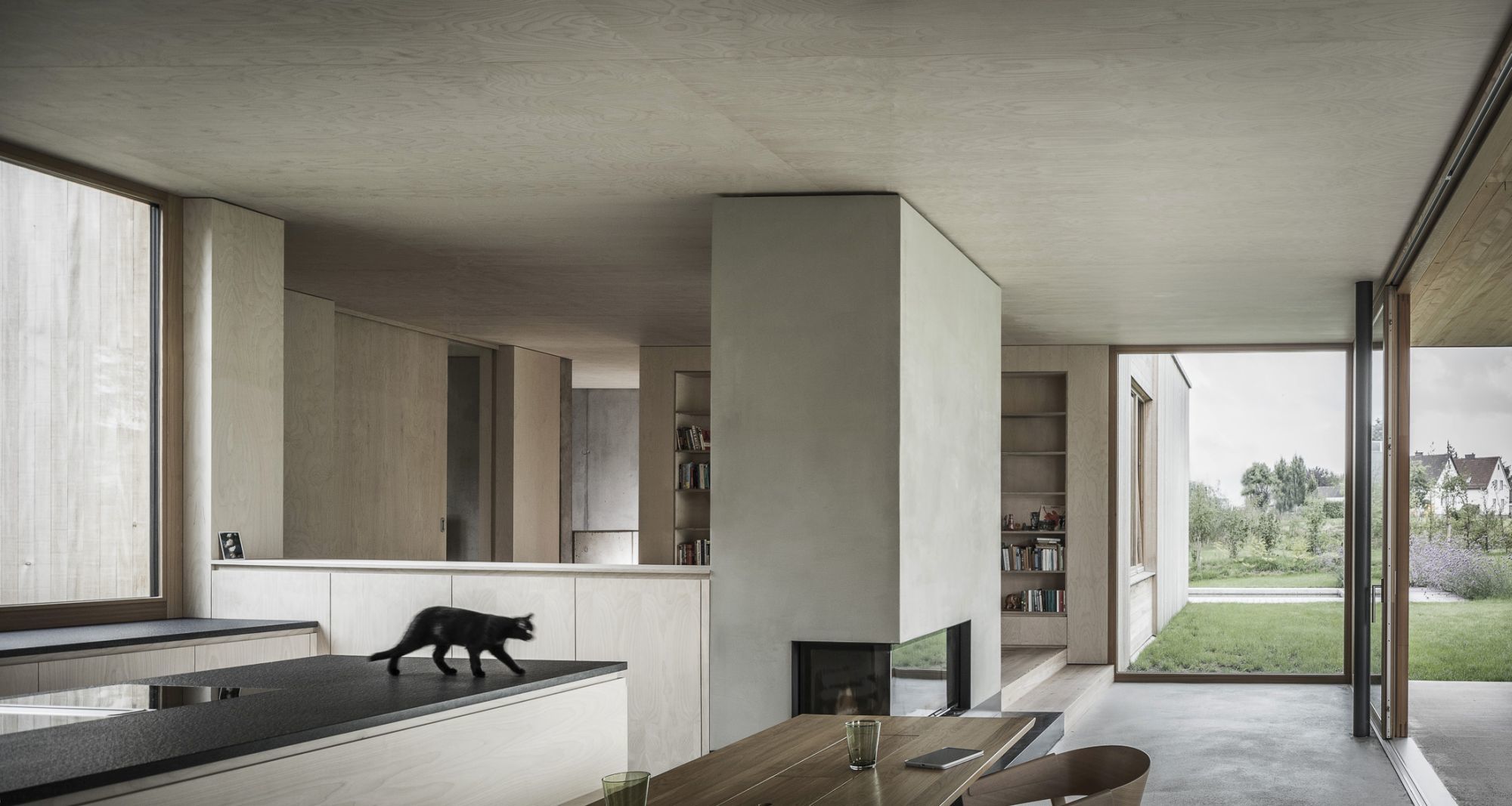 奥地利极简主义住宅“多普勒豪斯·特劳斯纳”-5