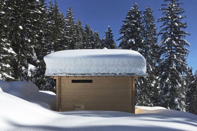 SALVINI RÜEGSEGGER ARCHITEKTEN丨Neubau Alphütte Surselva丨瑞士-0