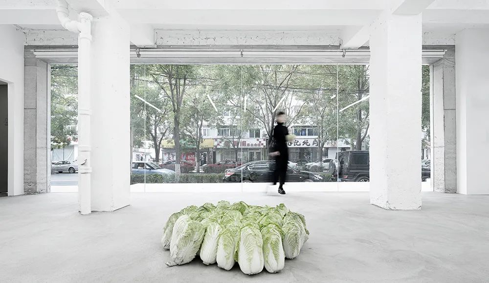 白菜设计工作室丨中国和平-8