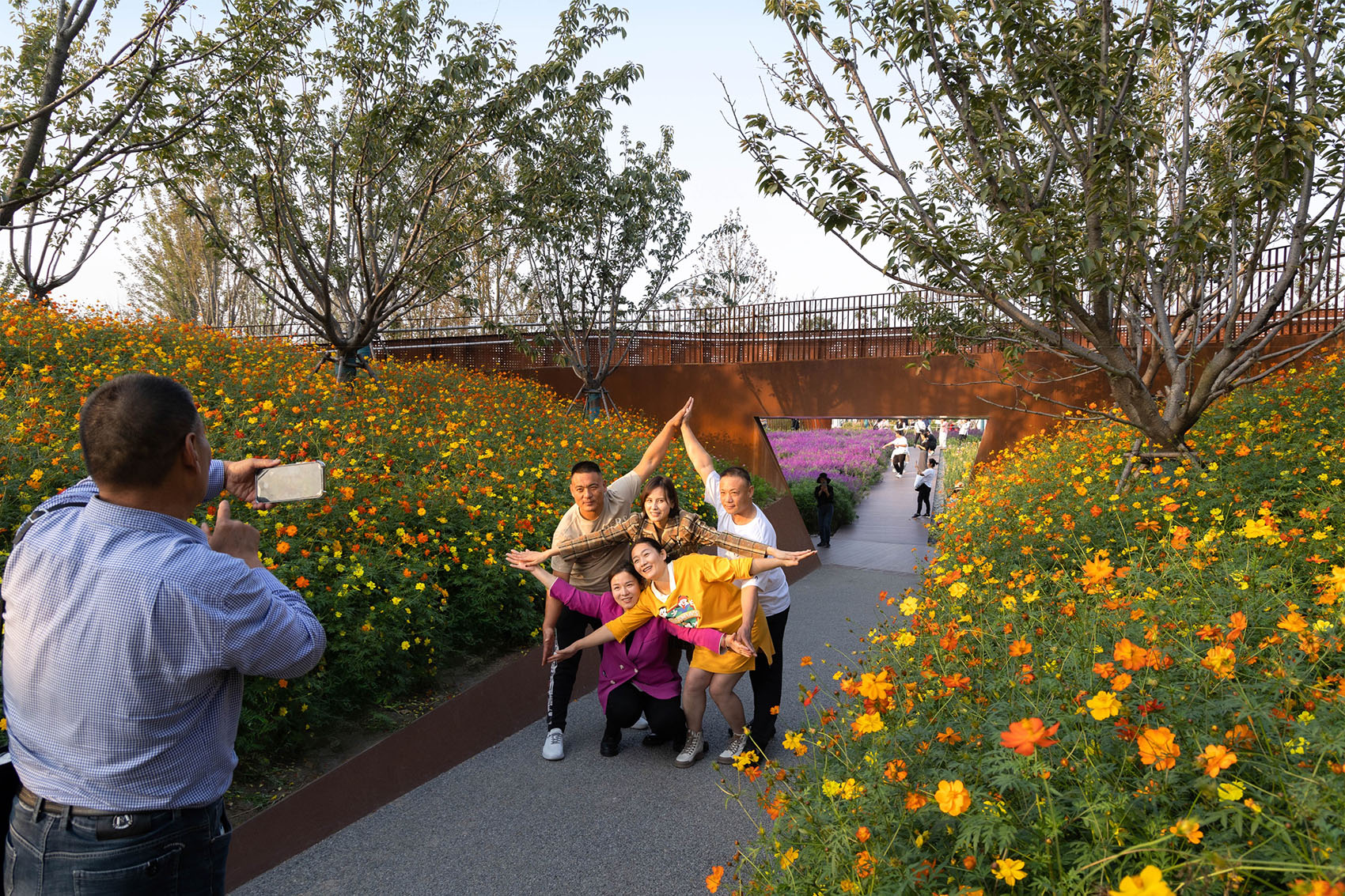 2023年中国（合肥）国际园林博览会百花园设计丨中国合肥丨北京多义景观规划设计事务所,北京林业大学园林学院-56