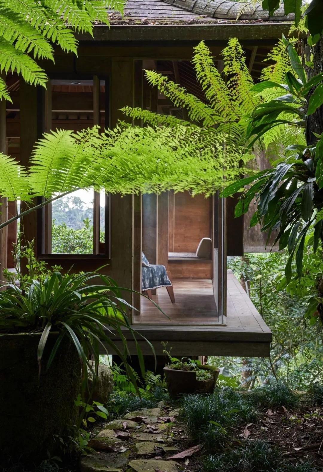 她的 / 她丨印度丨Sebas Mesdag-42