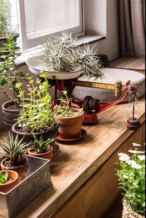 北漂大叔农村小院打造记,美食家赵歆宇的生活美学-20