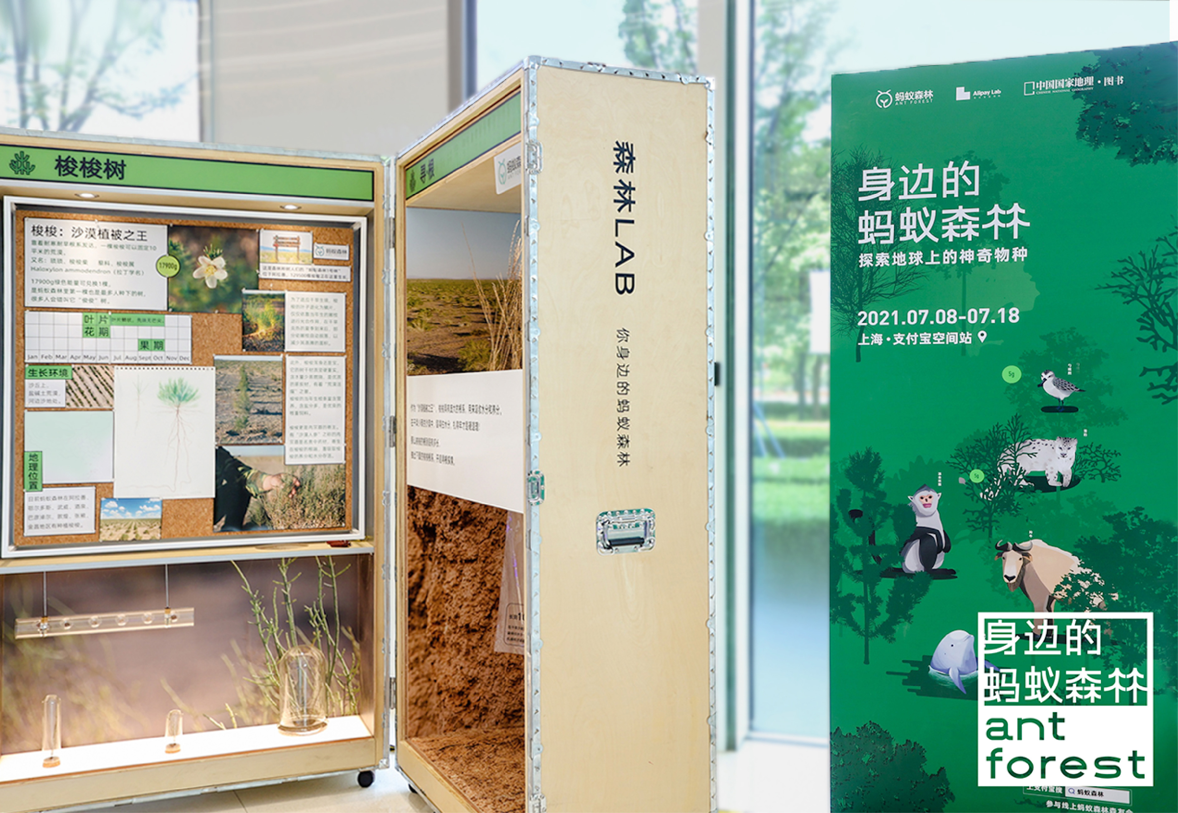 《森林LAB · 城市里的荒漠森林》互动展览丨中国杭州丨蚂蚁森林×不是美术馆-26