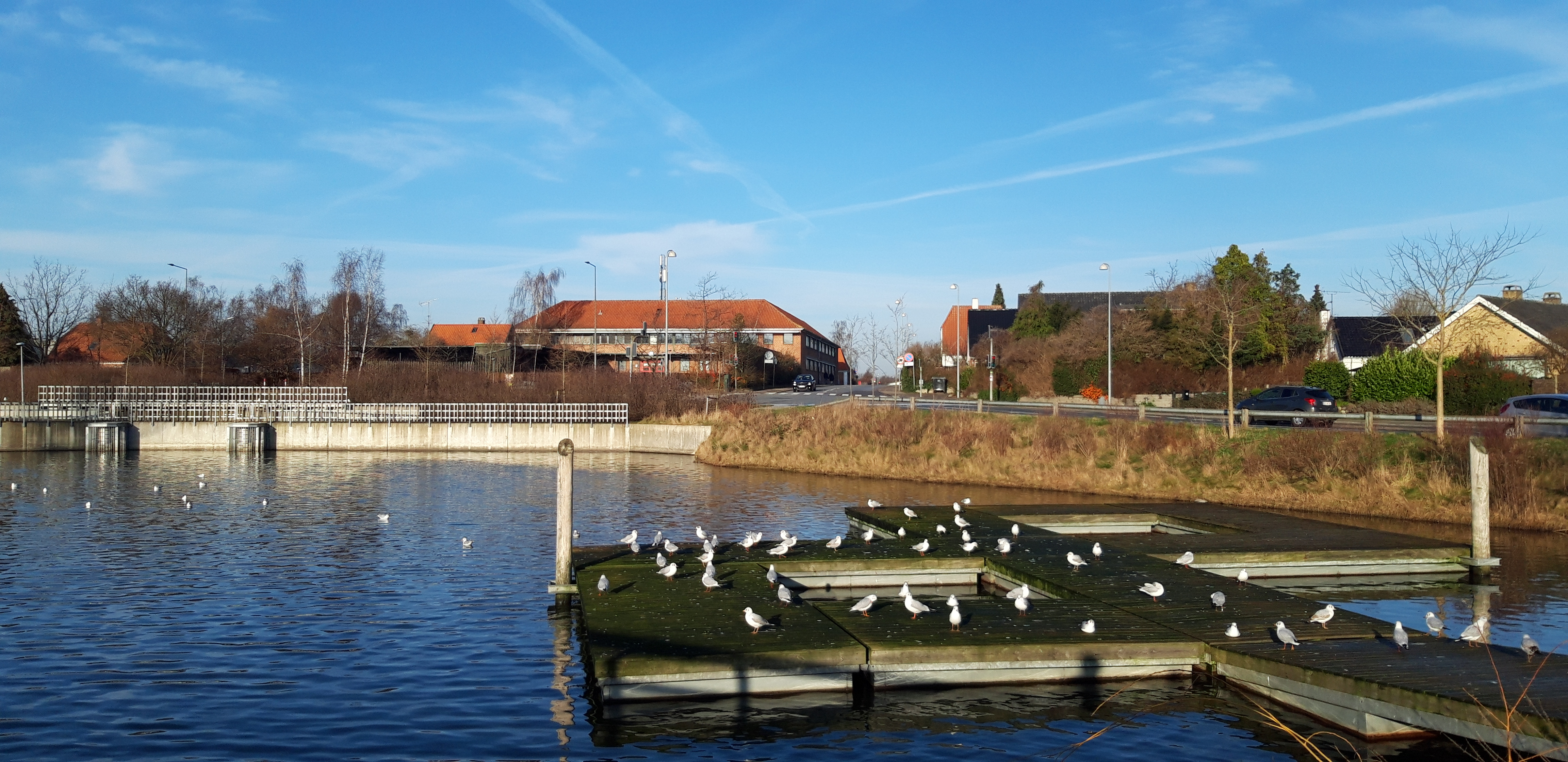 丹麦手机摄影作品-4