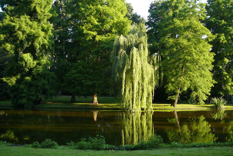 阿姆斯特丹冯德尔公园主入口改造丨荷兰阿姆斯特丹-22