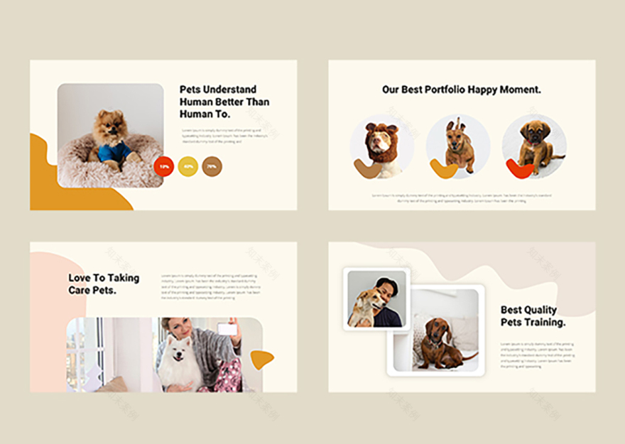 宠物店展示模板-7