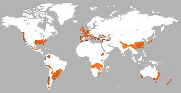 丨英国威尔士丨Architype-101
