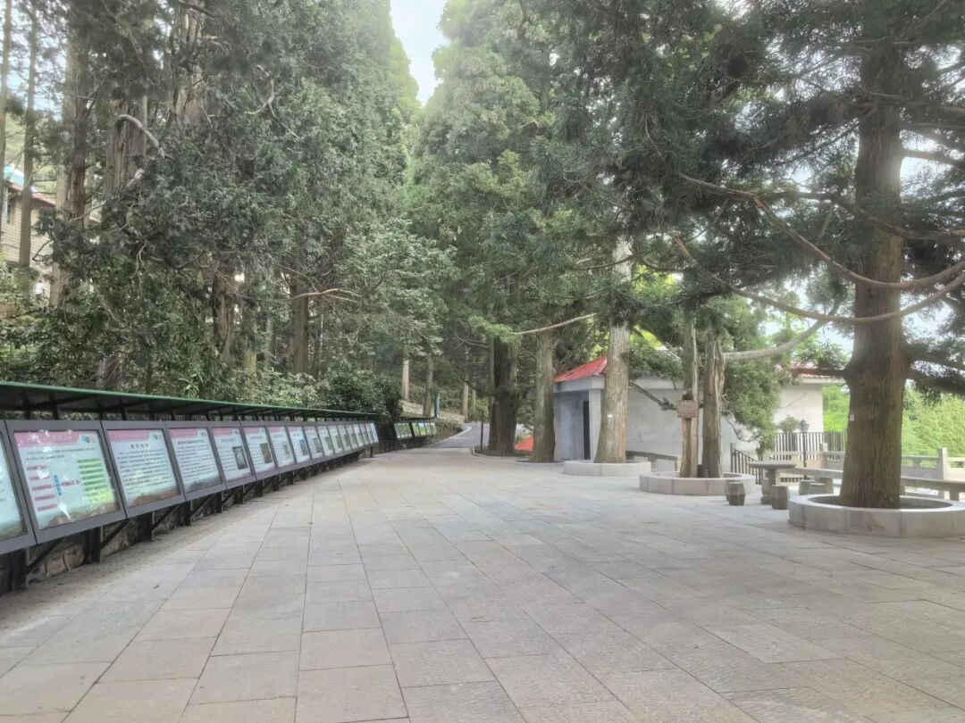 庐山植物园基础设施提升改造项目圆满竣工！-77