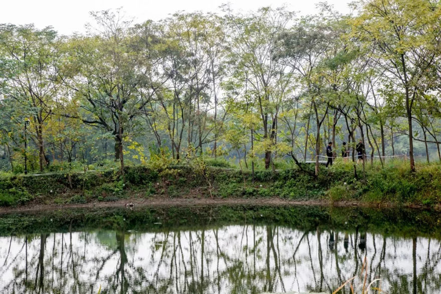 杭州木守西溪酒店-31