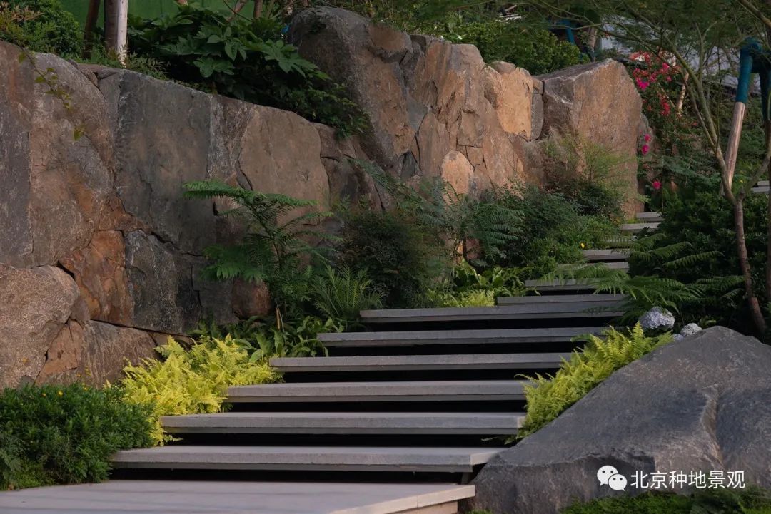 山外山外山外山 | 广州合景月养云来-22