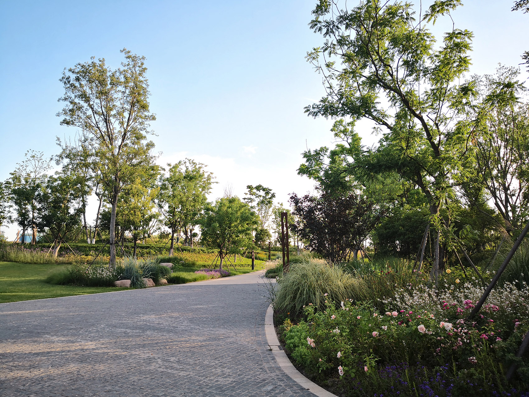 新加坡·南京生态科技岛-65