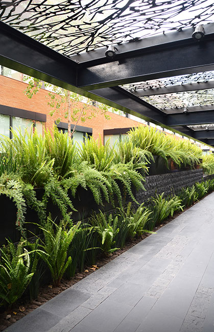 墨西哥城 Coyoacán 企业园区景观设计-14