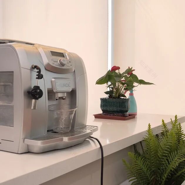 【文丰作品】卡其鹿焕新:自然人文交织的办公美学新章-119