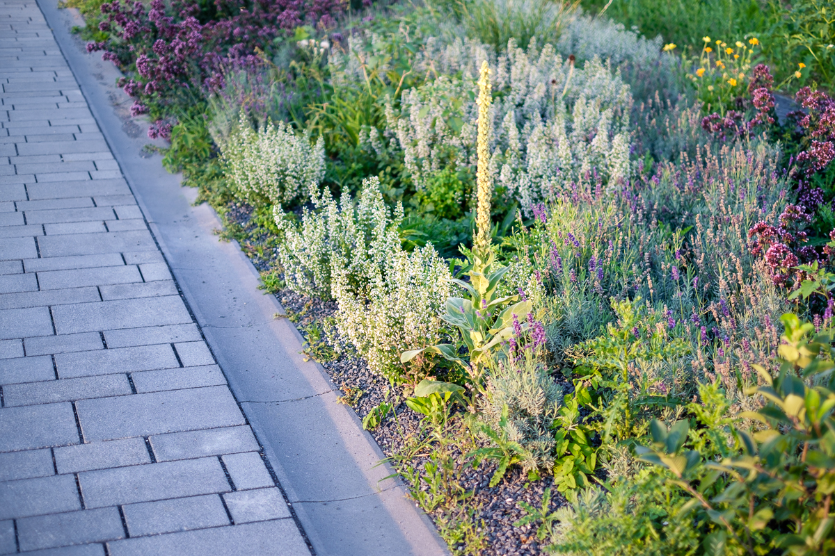 德国波恩大学校园-31