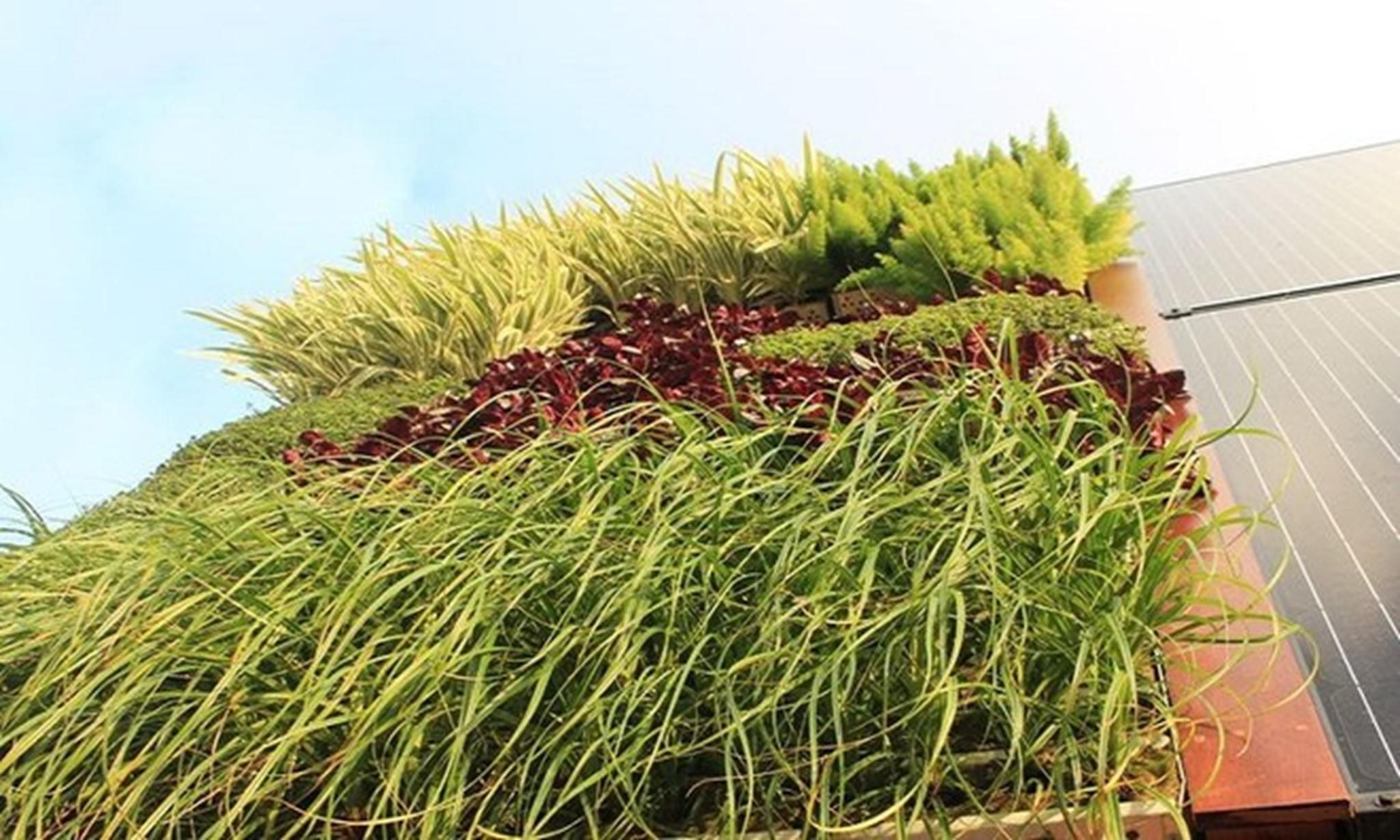 夏威夷创意“树屋”设计，绿意盎然-4