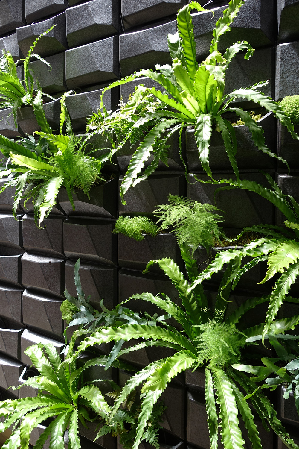 nanobiome building skin-0