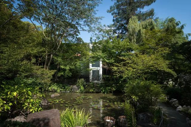 东京十座庭园式美术馆，艺术与自然的完美融合-133