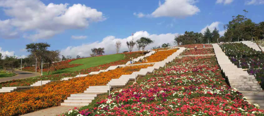 奋进40|埃塞俄比亚谢格尔公园友谊广场景观设计-14