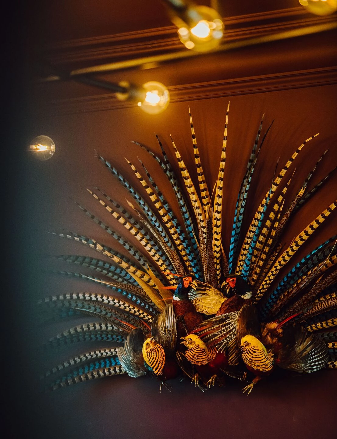 猎境奢华 | 比利时 Château de Vignée 酒店设计-28