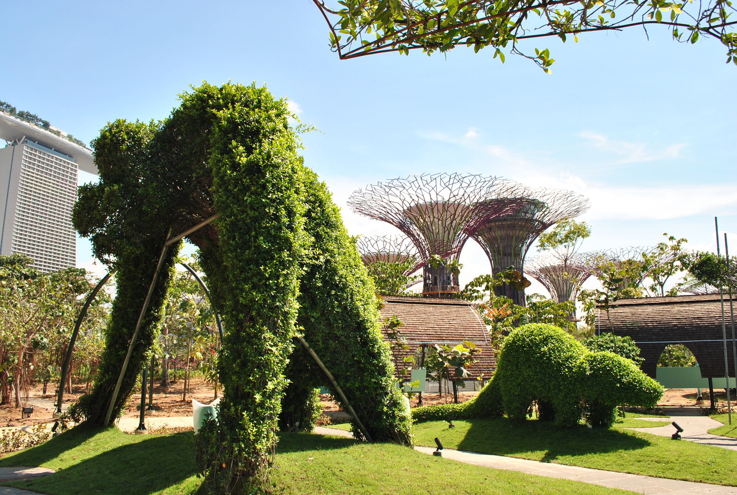 新加坡海湾花园-8