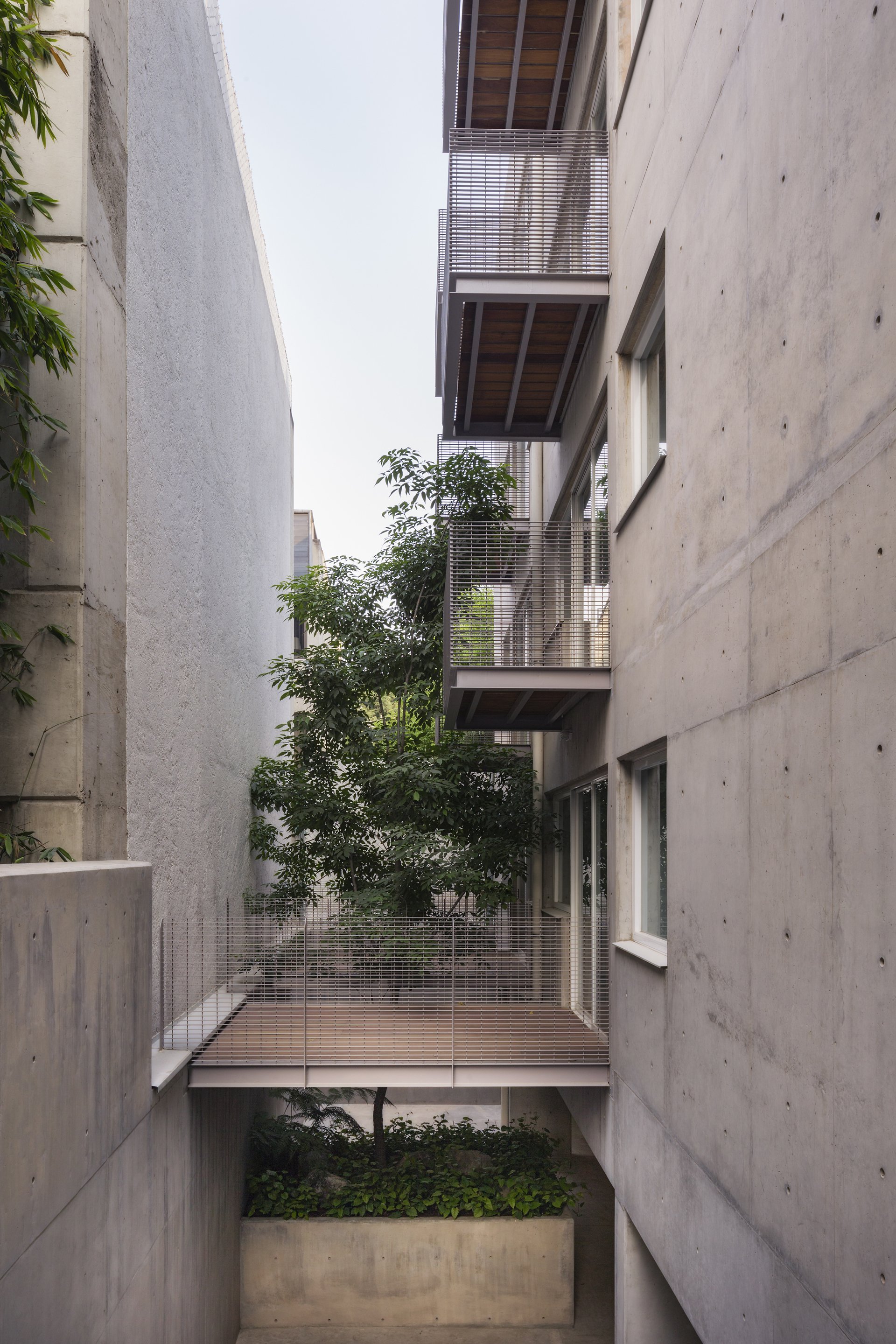 墨西哥城住宅楼丨Vicente Alonso Ibarra-17